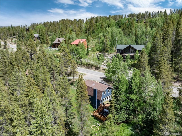 384 Blue Ridge Rd, Breckenridge, CO 80424 - photo 28