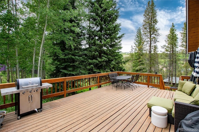 384 Blue Ridge Rd, Breckenridge, CO 80424 - photo 29