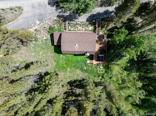 384 Blue Ridge Rd, Breckenridge, CO 80424 - photo 36