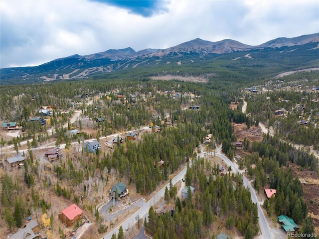 384 Blue Ridge Rd, Breckenridge, CO 80424 - photo 37