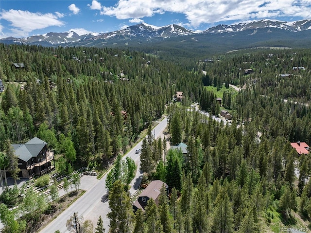 384 Blue Ridge Rd, Breckenridge, CO 80424 - photo 38