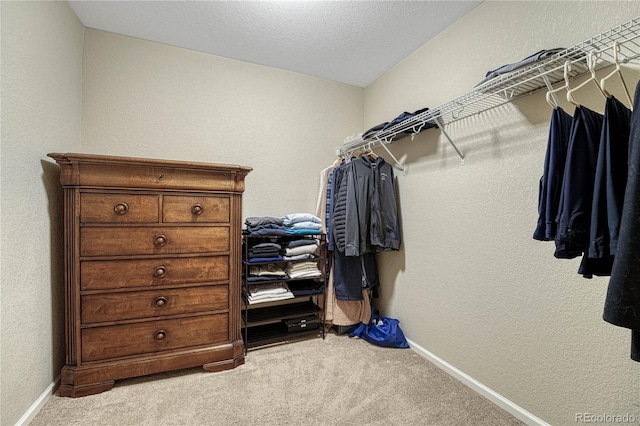 spacious closet featuring carpet flooring