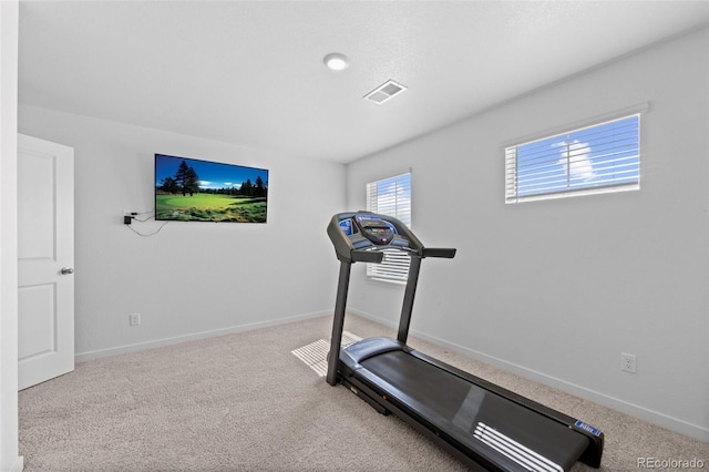 437 Thrush Pl, Johnstown, CO 80534 - exercise room with carpet floors
