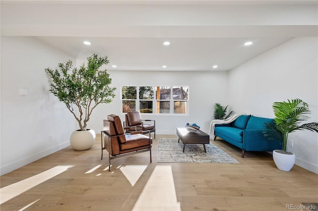 sitting room featuring light hardwood / wood-style flooring