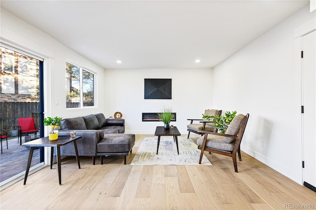 living room featuring light wood-type flooring