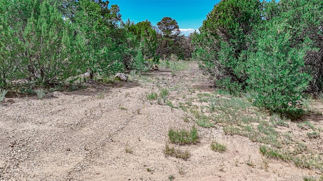 11771 Diamond View Rd, Trinidad CO, 81082 land for sale