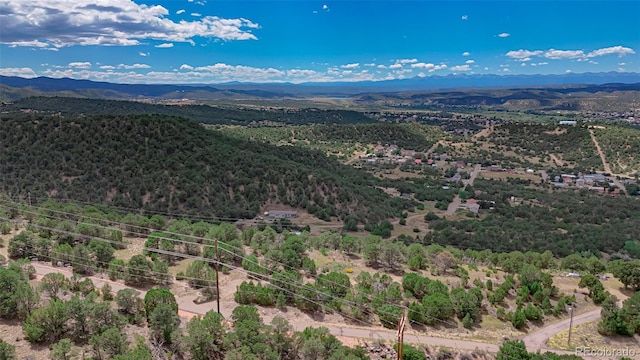 Listing photo 3 for 11771 Diamond View Rd, Trinidad CO 81082