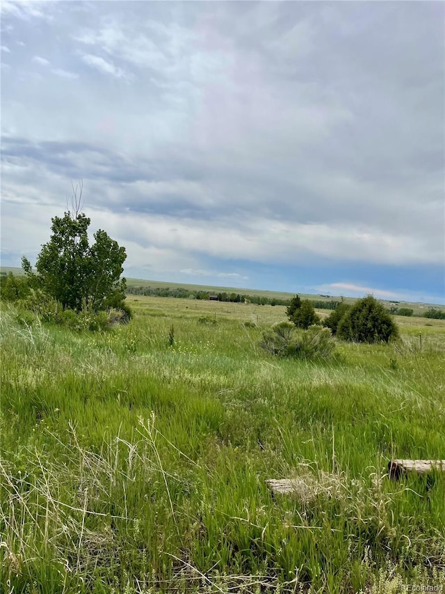 47904 Dartmouth Ave, Bennett, CO 80102 - view of nature featuring rural landscape