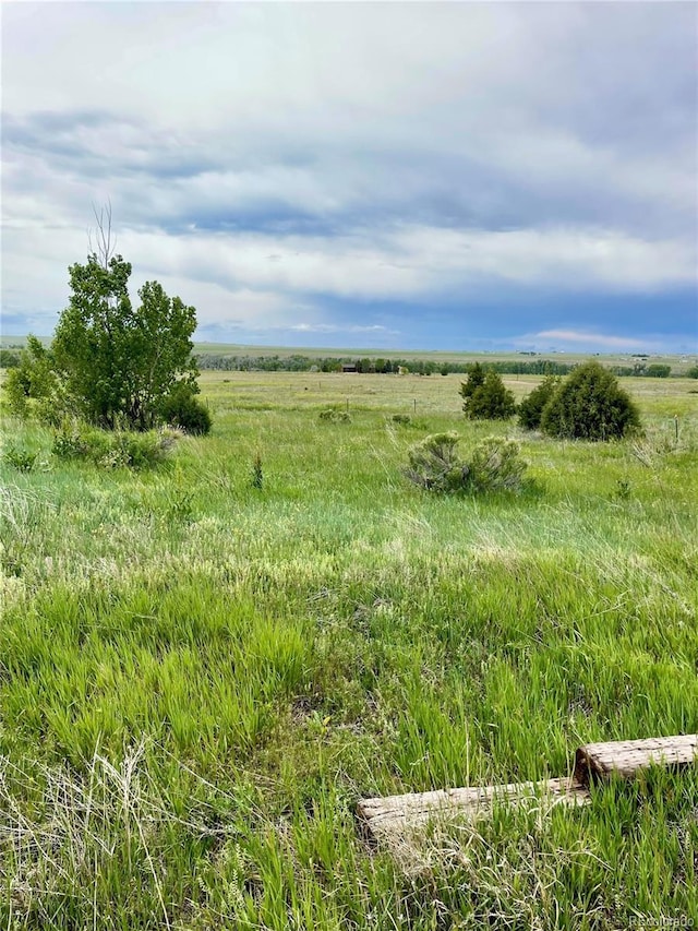 47904 Dartmouth Ave, Bennett, CO 80102 - view of local wilderness featuring rural landscape