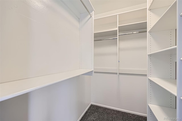 6727 S Race St, Centennial, CO 80122 - spacious closet with dark carpet