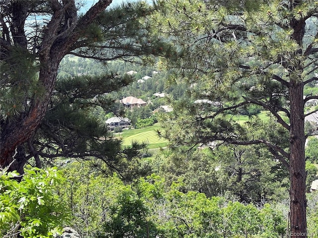 6875 Northstar Ct, Castle Rock, CO 80108 - view of tree filled area