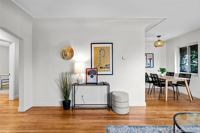 interior space with hardwood / wood-style floors