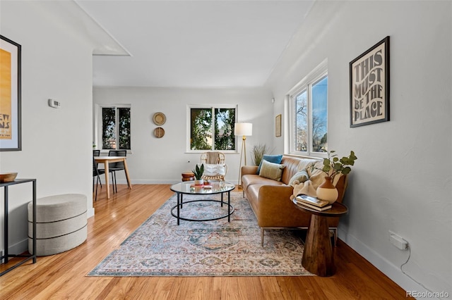 living room featuring wood-type flooring