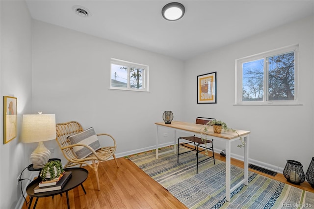 office featuring wood-type flooring