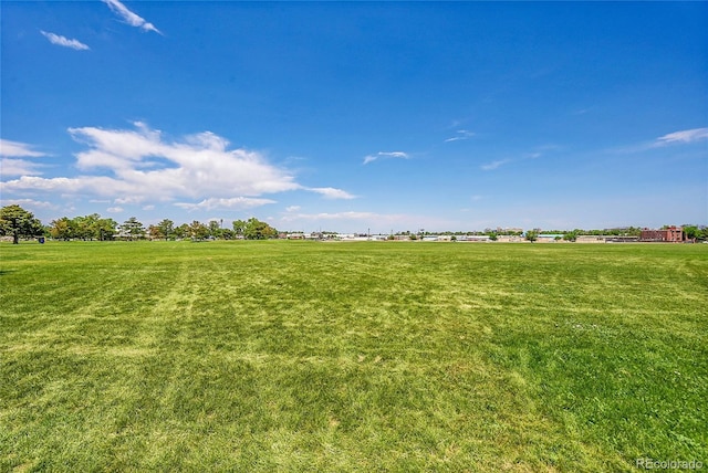 426 Kenton St, Aurora, CO 80010 - view of green lawn