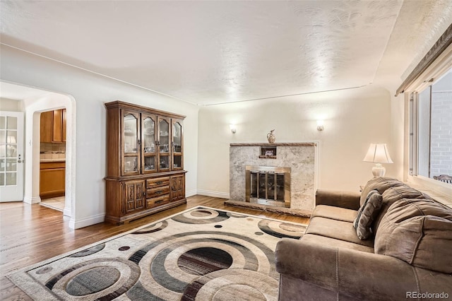 living room featuring hardwood / wood-style floors and a premium fireplace