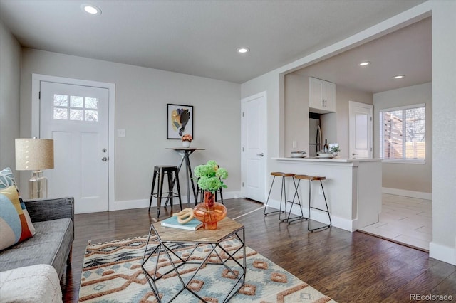 living room featuring dark wood-type flooring