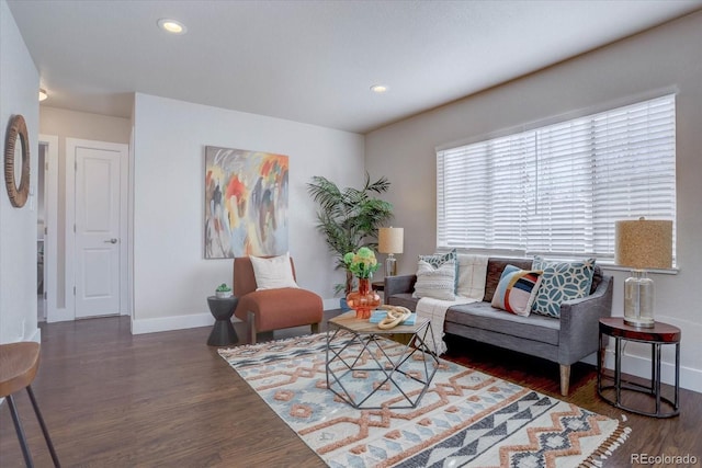 living room featuring dark wood-type flooring