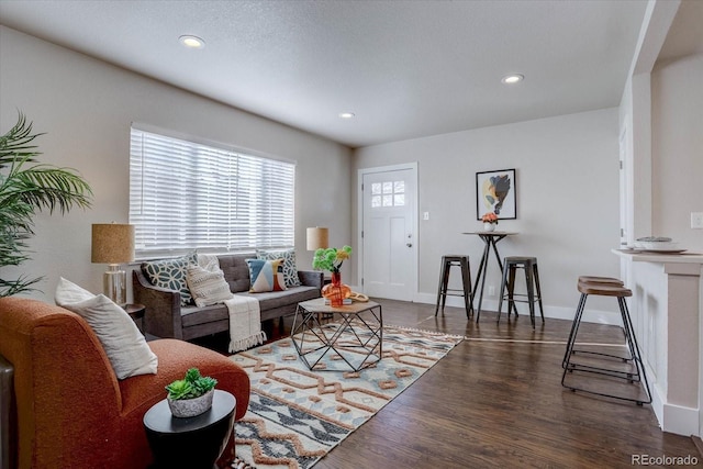 living room with dark hardwood / wood-style flooring