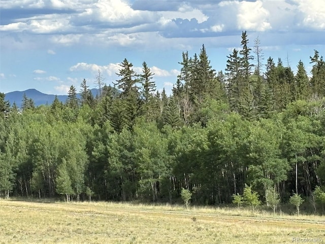 702 Pinto Trl, Como, CO 80432 - photo 17