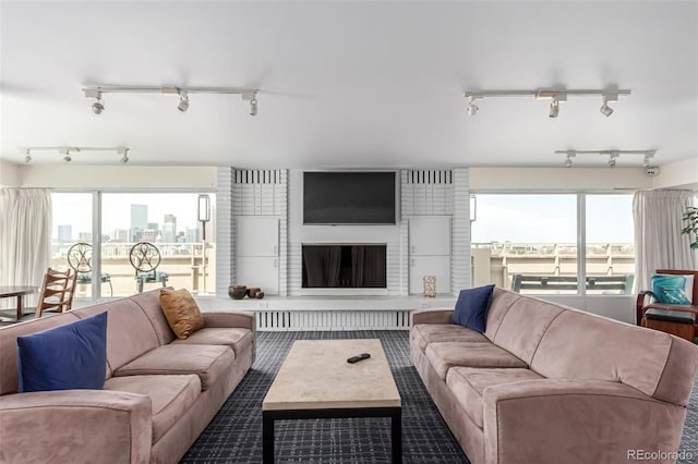 800 N Washington St Unit 804, Denver, CO 80203 - living area with track lighting, a brick fireplace, and healthy amount of natural light