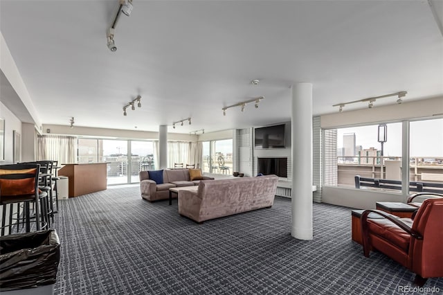 800 N Washington St Unit 804, Denver, CO 80203 - living room featuring rail lighting and carpet