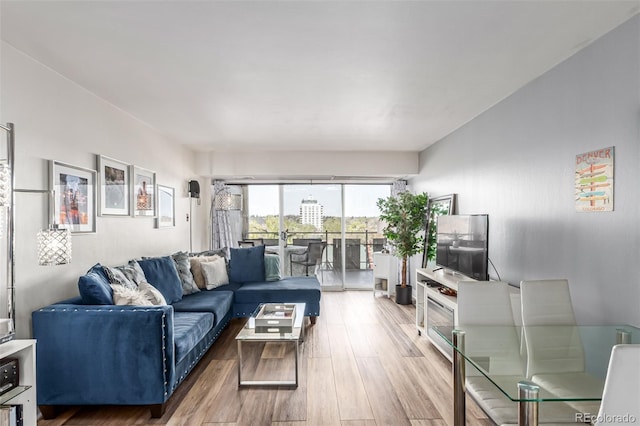800 N Washington St Unit 804, Denver, CO 80203 - living room with wood finished floors