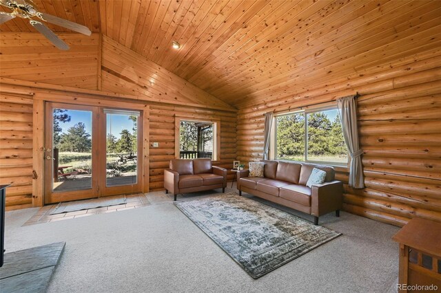 37 Surrey Ln, Florissant, CO 80816 - photo 4