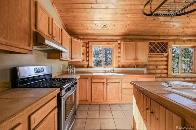 37 Surrey Ln, Florissant, CO 80816 - photo 9