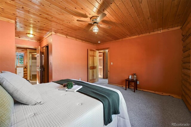 37 Surrey Ln, Florissant, CO 80816 - photo 11