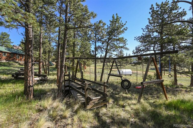 37 Surrey Ln, Florissant, CO 80816 - photo 29