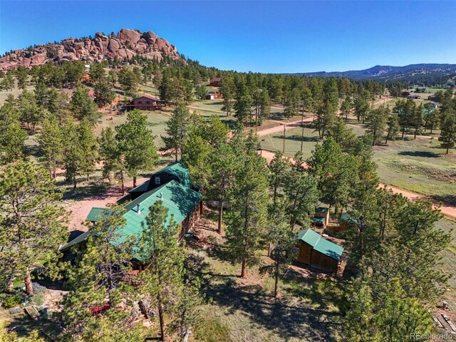 37 Surrey Ln, Florissant, CO 80816 - photo 30