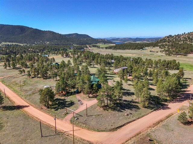 37 Surrey Ln, Florissant, CO 80816 - photo 31