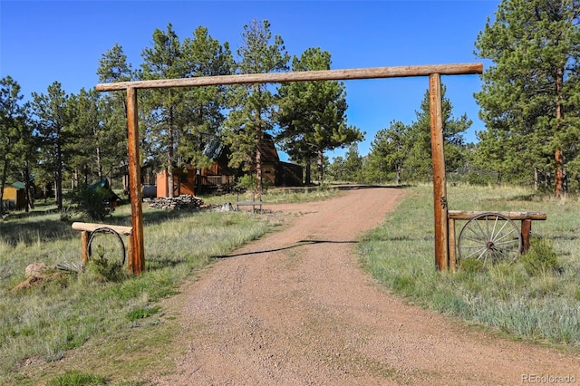 37 Surrey Ln, Florissant, CO 80816 - photo 32