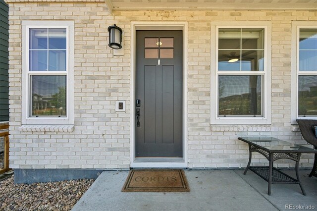 14952 Gladshine Dr, Parker, CO 80134 - photo 5