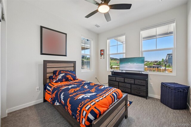 14952 Gladshine Dr, Parker, CO 80134 - photo 21