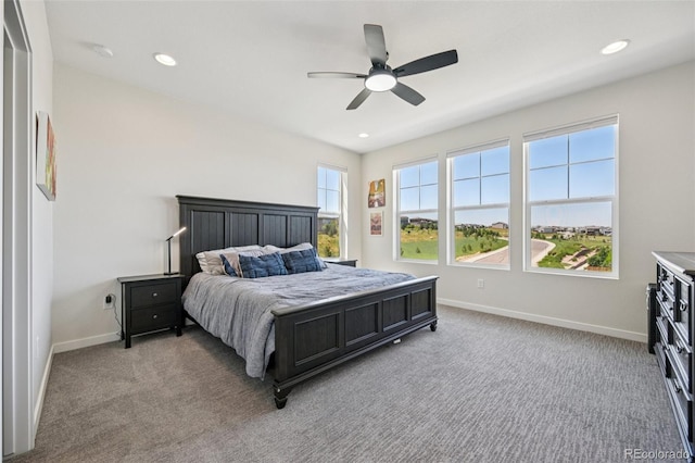 14952 Gladshine Dr, Parker, CO 80134 - photo 29