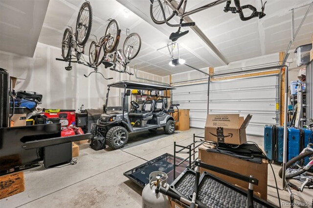 14952 Gladshine Dr, Parker, CO 80134 - photo 41