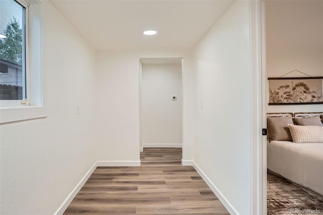 1981 Willow St, Denver, CO 80220 - photo 20