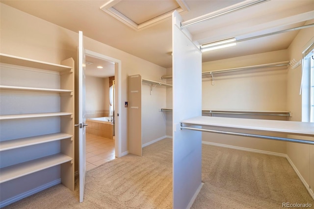 spacious closet with light carpet