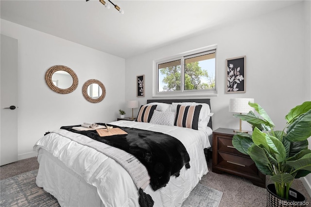 carpeted bedroom with rail lighting