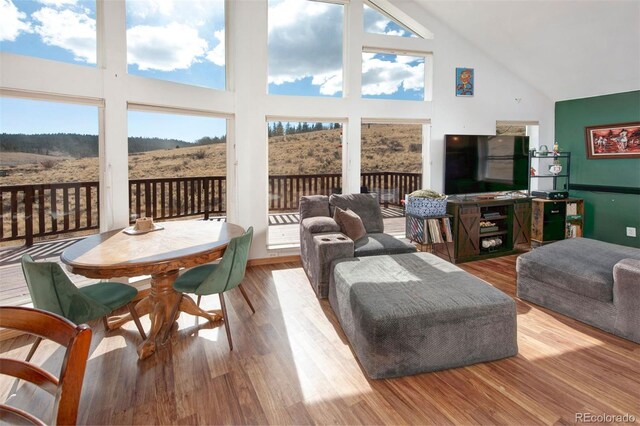 2727 Arrowhead Dr, Como, CO 80432 - living room featuring light hardwood / wood-style floors, high vaulted ceiling, and plenty of natural light
