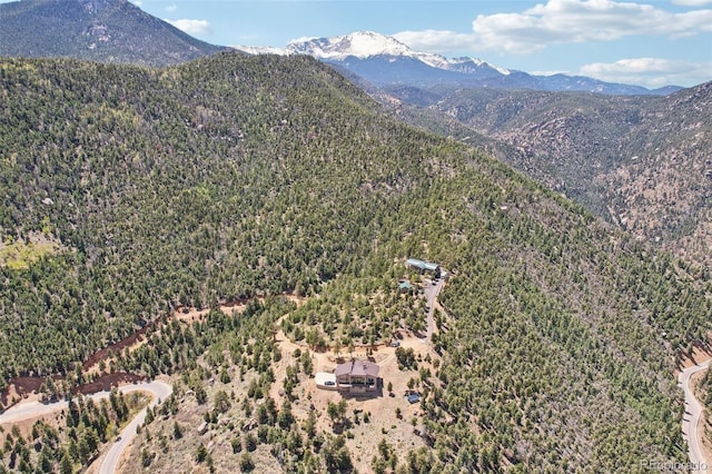 784 Grand Horizon Vw, Manitou Springs, CO 80829 - mountain view with a heavily wooded area