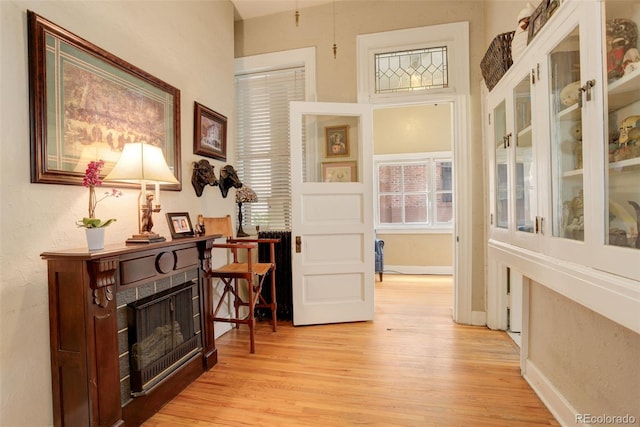 interior space featuring light wood-type flooring and a wealth of natural light