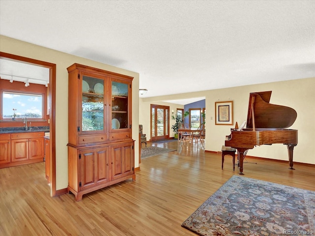 12798 Tomahawk Rd, Parker, CO 80138 - interior space featuring baseboards, light wood-style floors, and a textured ceiling