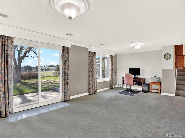 12798 Tomahawk Rd, Parker, CO 80138 - carpeted office space with baseboards, visible vents, a wealth of natural light, and ornamental molding