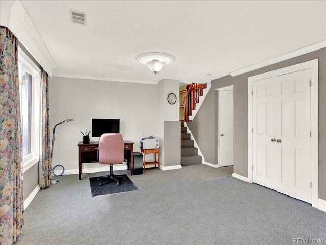 12798 Tomahawk Rd, Parker, CO 80138 - home office featuring visible vents, a wealth of natural light, baseboards, and carpet floors