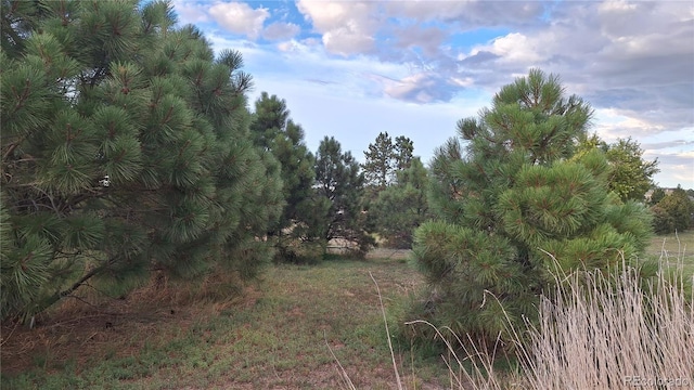 12798 Tomahawk Rd, Parker, CO 80138 - view of nature