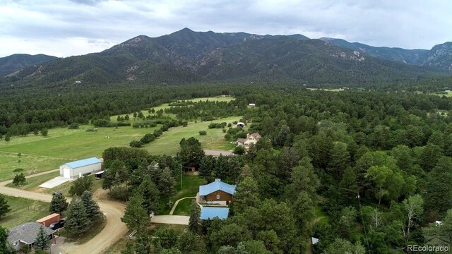 8149 Patti Dr, Rye, CO 81069 - photo 21