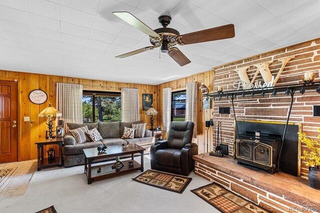 8149 Patti Dr, Rye, CO 81069 - photo 8